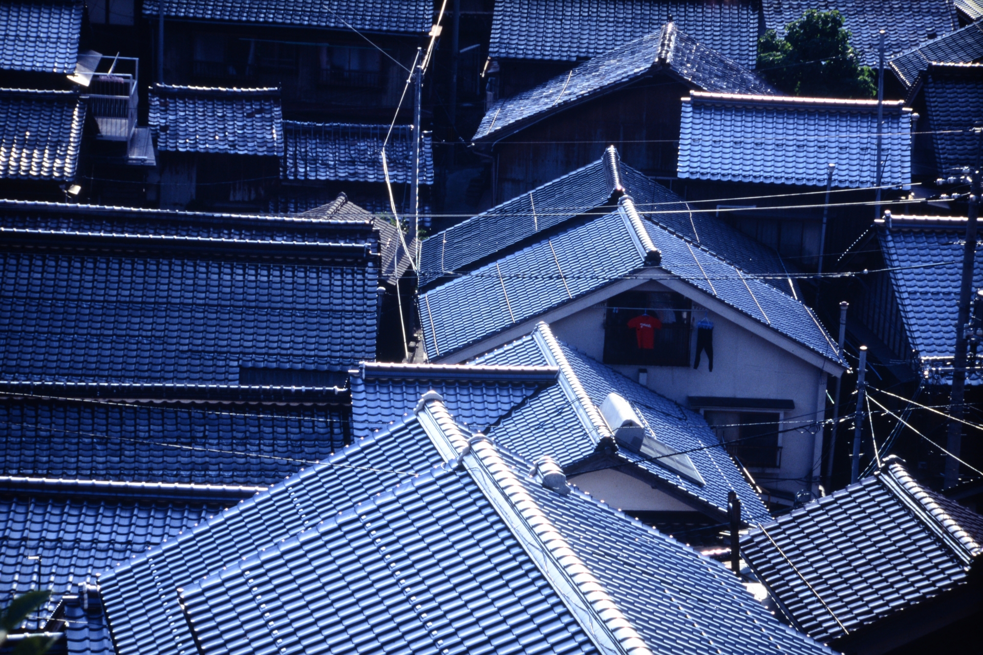 瓦屋根