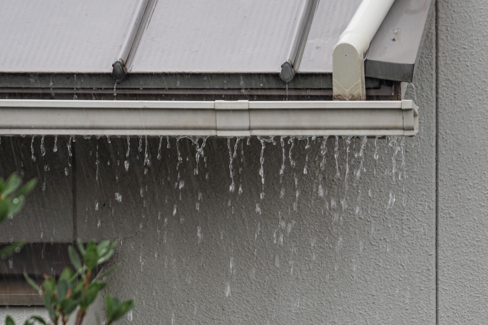 雨どい