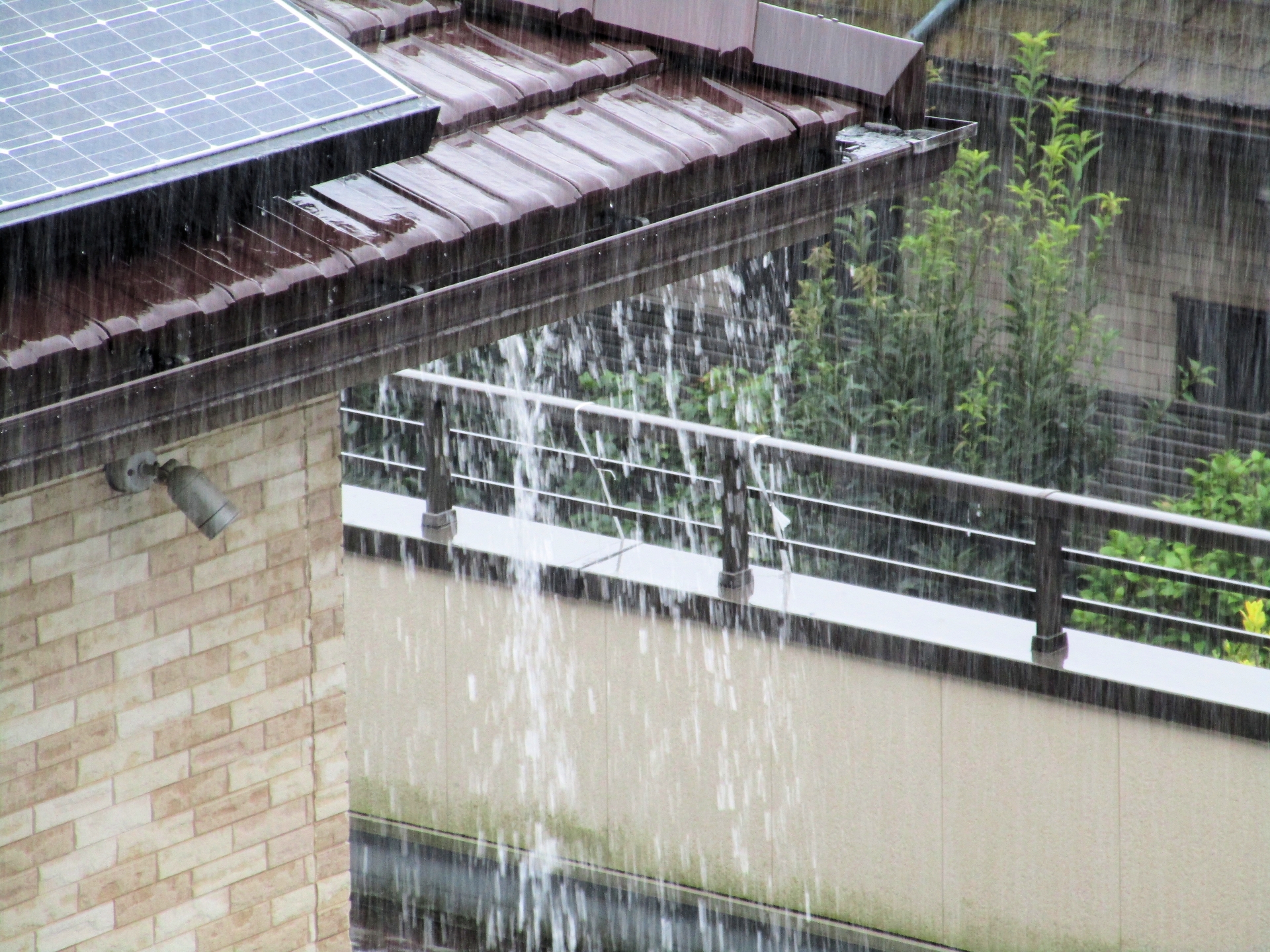 雨樋